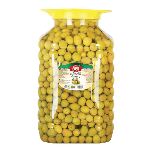 زیتون شور با هسته  Salty Olives With Core 10 Kg | شرکت آریا شور