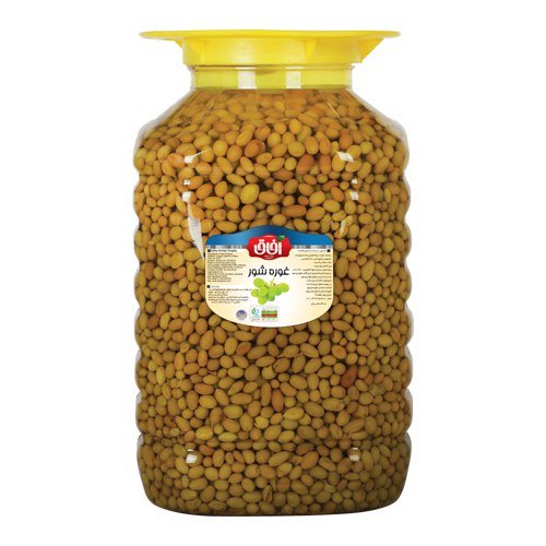 غوره شور  Salty Unripe Grapes 10 Kg | شرکت آریا شور